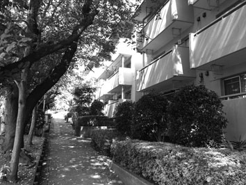 木漏れ日の落ちた団地内の通路